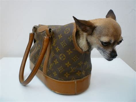 dog louis vuitton bag